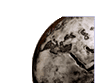 Image of a beautifully detailed metallic globe